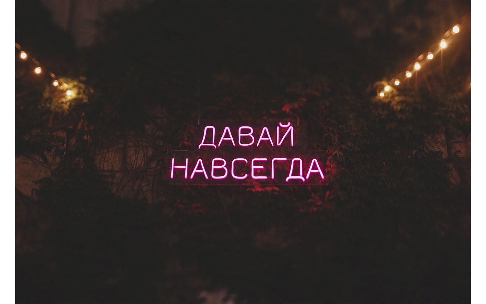 Статистика моих свадеб